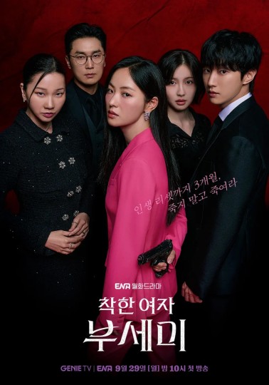 善良女子布西米,Ms. Incognito封面图