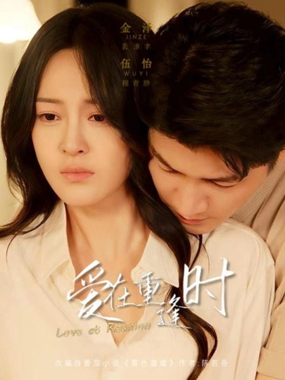 爱在重逢时封面图